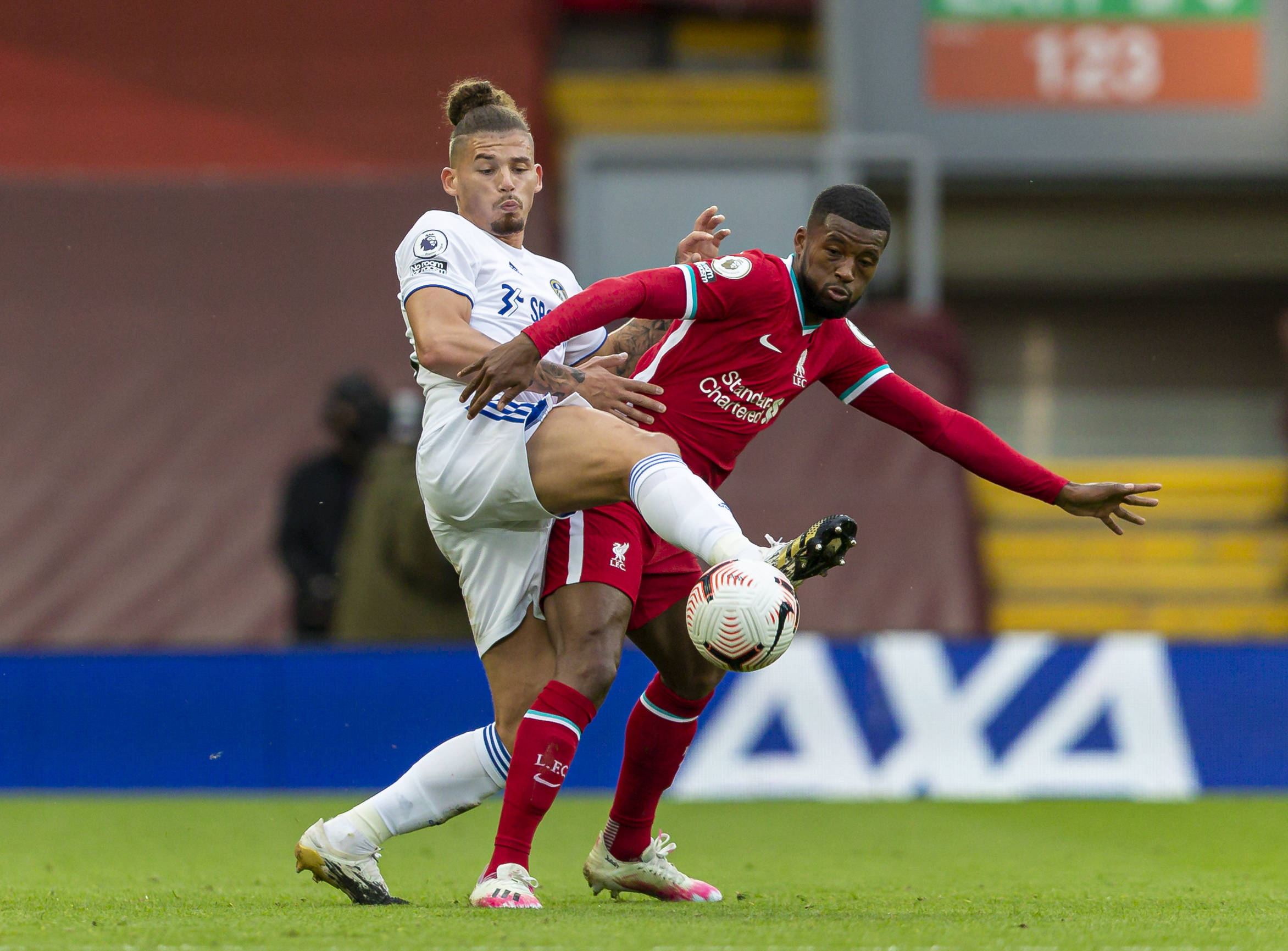 加坚实的基 加坚实的基